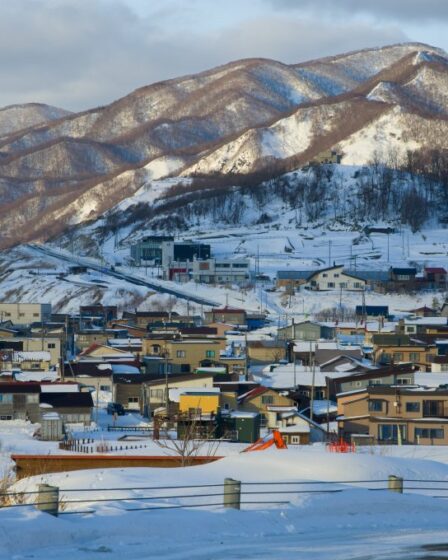 Hokkaido in Snow by jacqueline macou