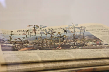 Yūken Teruya. Voices (2012)