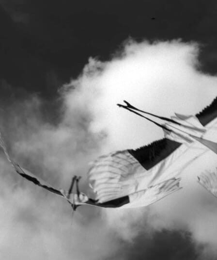 Hibakusha - Alma Errante - Header