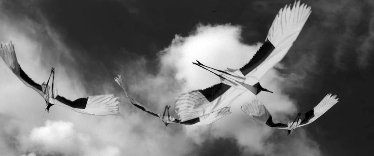 Hibakusha - Alma Errante - Header